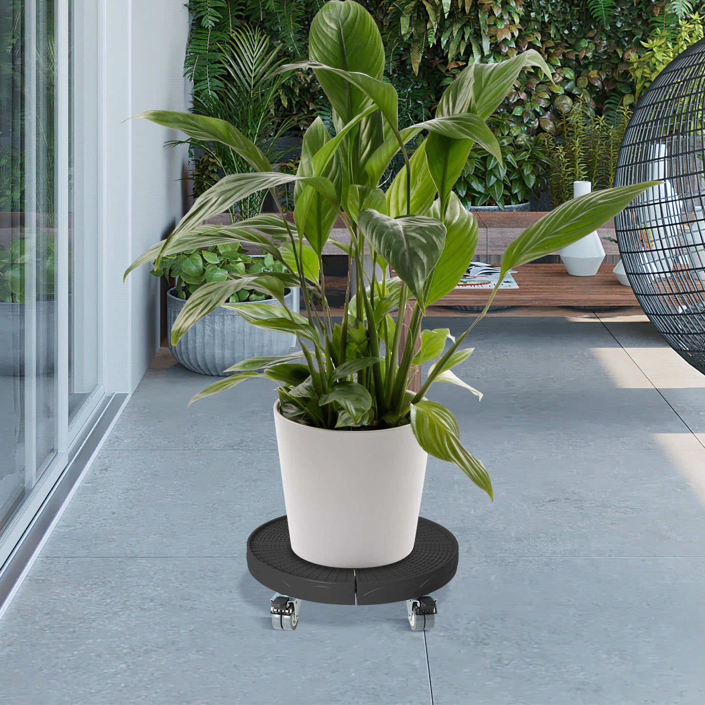 Hengda Pflanzenroller Rund, Blumenroller Einstellbar Ø38-54cm
