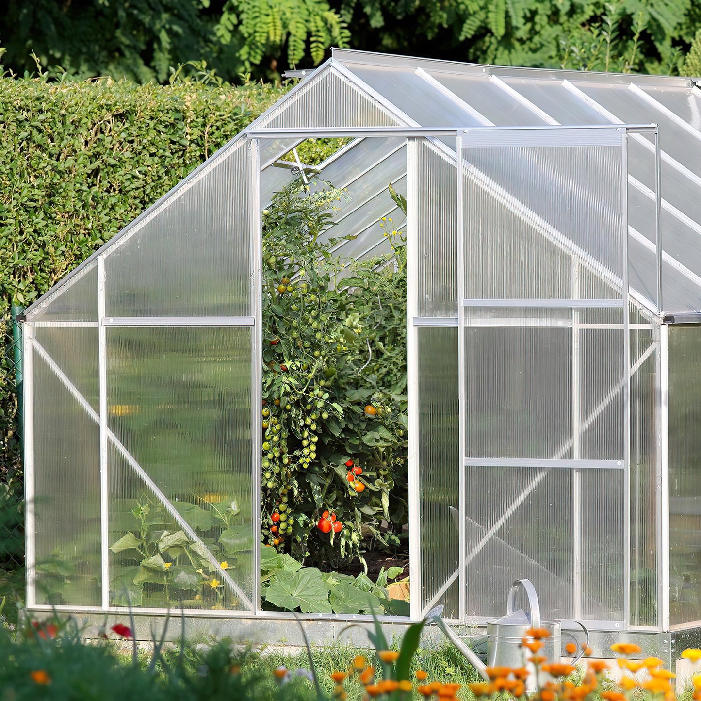 Hengda Polycarbonat Hohlkammerstegplatten, 60,5x121 cm Gewächshausplatten mit 50 x W-Clips und 50 x Z-Clips
