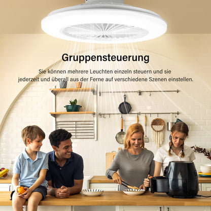 Hengda Deckenventilator mit RGB LED Beleuchtung, 6 Geschwindigkeiten,  Stufenloses Dimmen, φ49cm, Ventilator Lüfter Deckenlampe