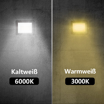 Hengda LED Strahler, 20/30/50/100W LED Fluter, Warmweiß/Kaltweiß Außenstrahler, IP66 Scheinwerfer (kein Stecker)