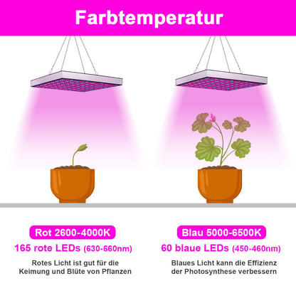 Hengda LED Pflanzenlampe 15W-45W | Vollspektrum Grow Light für Indoor Pflanzen & Gemüse | LED Pflanzenlicht Quadrat | Effizient & Energie-sparend | Zimmerpflanzen, Tomaten, Chili, Orchideen