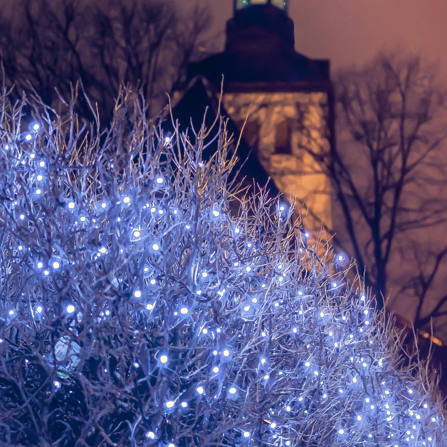 Hengda LED Lichternetz Lichtervorhang Lichterkette Außenlichterkette Strip 8 Modi